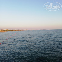 фото из отзыва ID 2154729