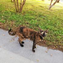 фото из отзыва ID 2154729