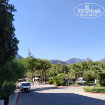 фото из отзыва ID 2154813