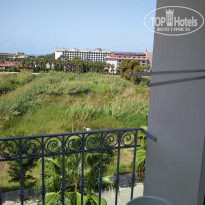 фото из отзыва ID 2155114