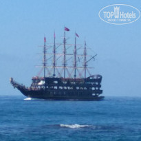 фото из отзыва ID 2155114