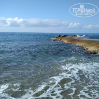 фото из отзыва ID 2155114