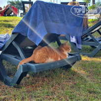 фото из отзыва ID 2155070