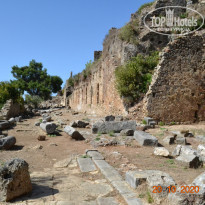 фото из отзыва ID 2155276