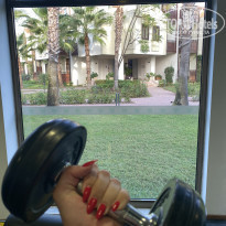 фото из отзыва ID 2155679