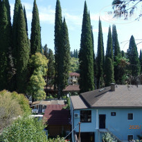 фото из отзыва ID 2155738