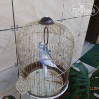 фото из отзыва ID 2155738