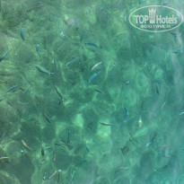 фото из отзыва ID 2155836