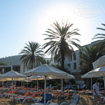 фото из отзыва ID 2155868