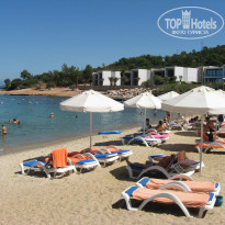 фото из отзыва ID 2155868