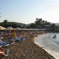 фото из отзыва ID 2155868