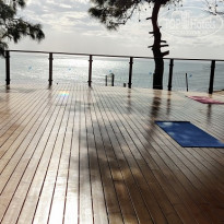 фото из отзыва ID 2155469