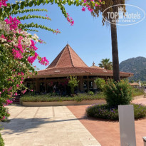 фото из отзыва ID 2156028