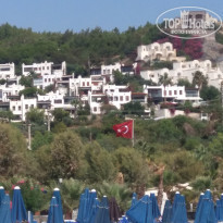 фото из отзыва ID 2156227