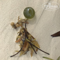 фото из отзыва ID 2156245