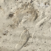 фото из отзыва ID 2156245