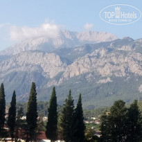 фото из отзыва ID 2156320