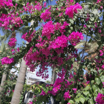 фото из отзыва ID 2156352