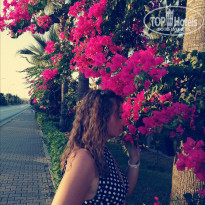 фото из отзыва ID 2156352