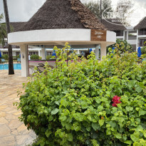 фото из отзыва ID 2156495