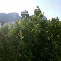 фото из отзыва ID 2156589