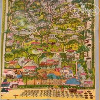 фото из отзыва ID 2156609