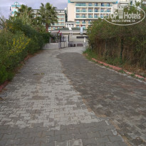 фото из отзыва ID 2156403