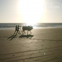 фото из отзыва ID 2156695