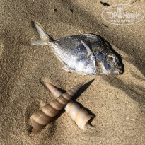 фото из отзыва ID 2156763