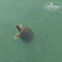 фото из отзыва ID 2156946