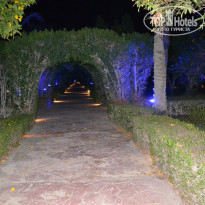 фото из отзыва ID 2156971