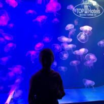 фото из отзыва ID 2157004