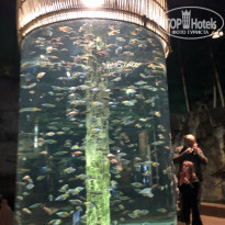 фото из отзыва ID 2157004