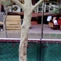 фото из отзыва ID 2157037