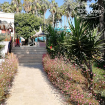 фото из отзыва ID 2157068