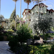 фото из отзыва ID 2157068