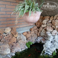 фото из отзыва ID 2157122