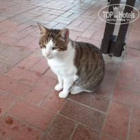 фото из отзыва ID 2157190