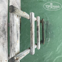 фото из отзыва ID 2156245