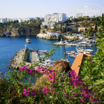 фото из отзыва ID 2157449