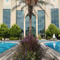 фото из отзыва ID 2157480