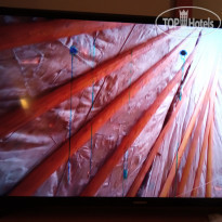 фото из отзыва ID 2157507