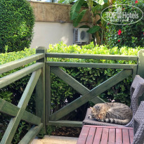 фото из отзыва ID 2157599