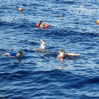 фото из отзыва ID 2157792