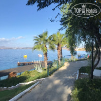 фото из отзыва ID 2157720