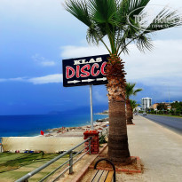 фото из отзыва ID 2157919