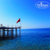 фото из отзыва ID 2157919