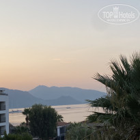 фото из отзыва ID 2157934