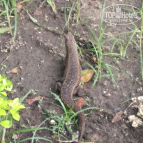 фото из отзыва ID 2157954