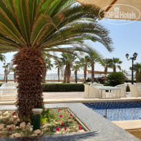 фото из отзыва ID 2157987